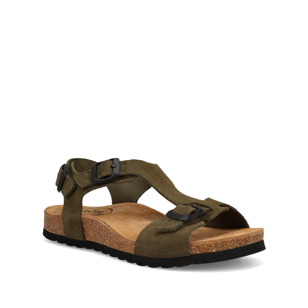Taos MVP Olive