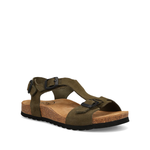 Taos MVP Olive